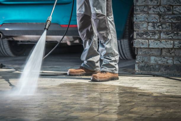 Professional  Pressure Washing Services in Lake Sarasota, FL